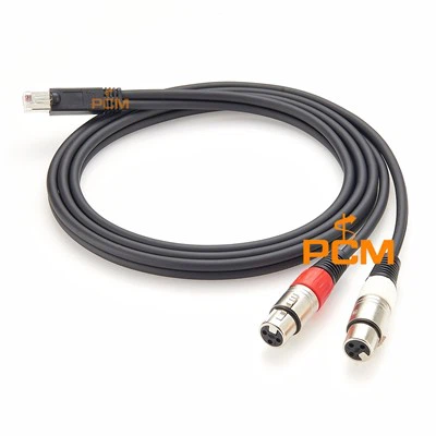 RJ45 Hingga 3 Pin XLR Jack Audio Breakout Cable